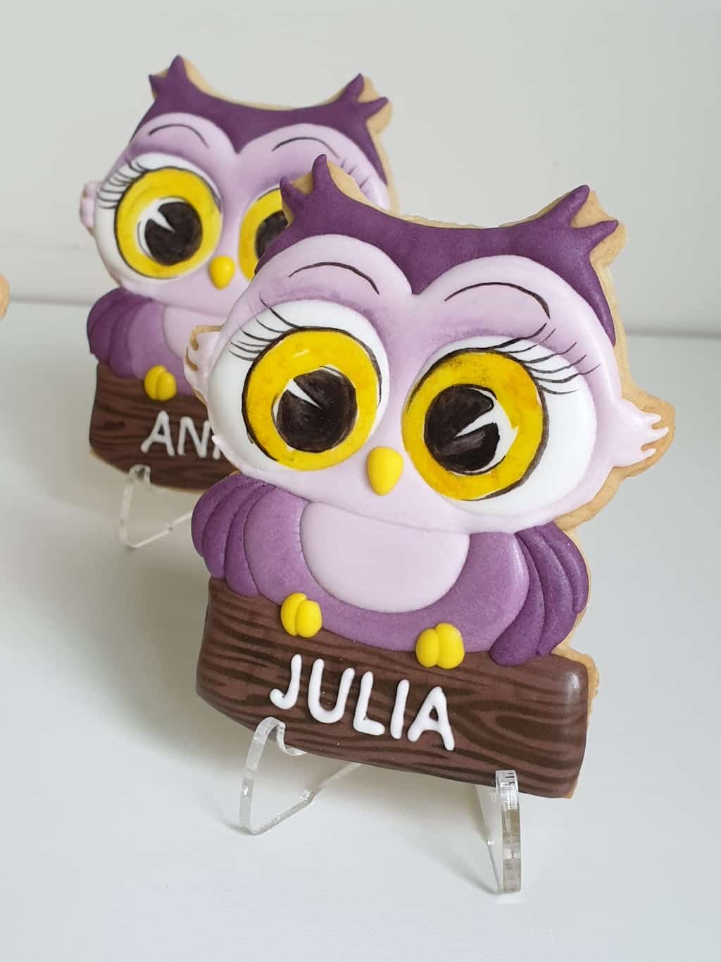 Podziękowania dla nauczycieli - Sowa z dedykacją, Lukrowane ciasteczka dla dziewczynek, Pierniczki na Dzień Kobiet, upominki dla dzieci Basia sweets