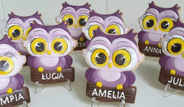 Podziękowania dla nauczycieli - Sowa z dedykacją, Lukrowane ciasteczka dla dziewczynek, Pierniczki na Dzień Kobiet, upominki dla dzieci Basia sweets
