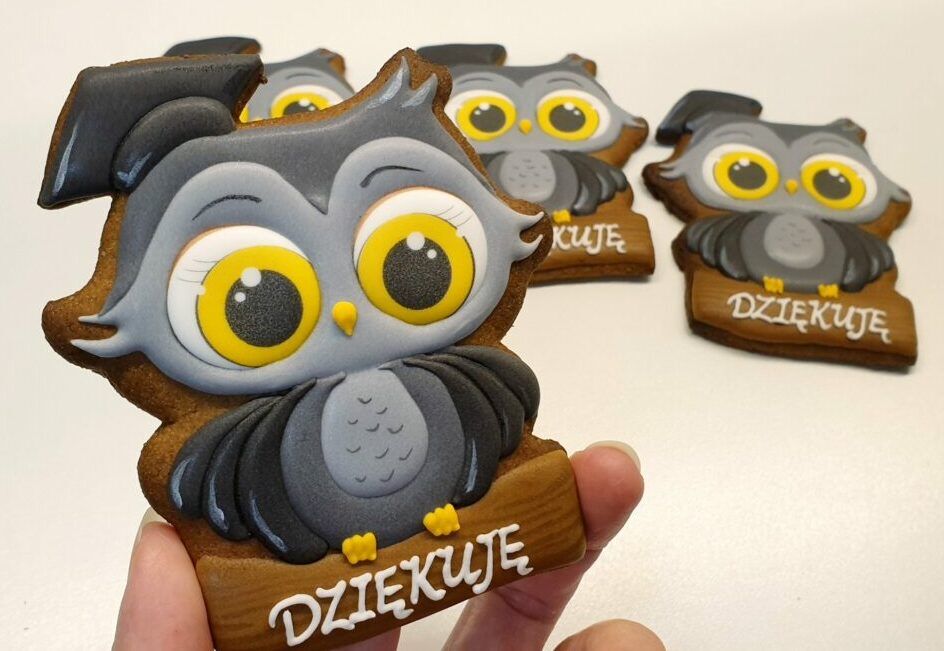 ciastka dla promotora, piernik sowa, piernik dla promotora, pierniczki na obronę, pierniczek sówka, podziękowania dla promotora z piernika, Dzień nauczyciela, podziękowanie dla nauczyciela, ciasteczka sowa, lukrowane ciasteczka Basia sweets